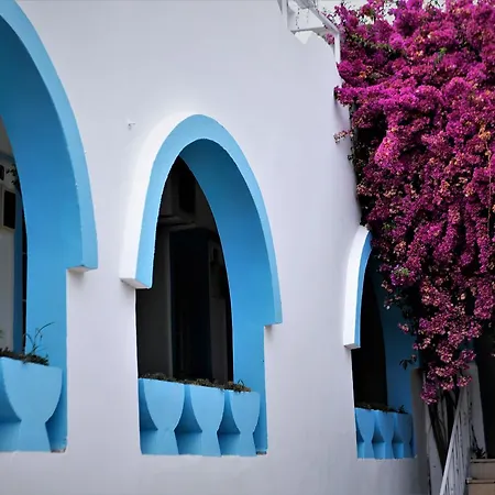 Hotel Palma Gümbet