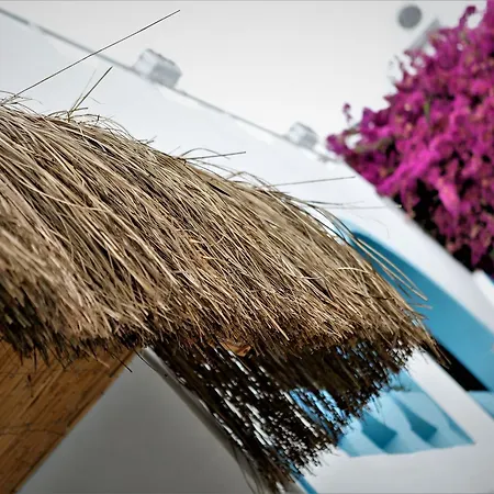 Hotel Palma *