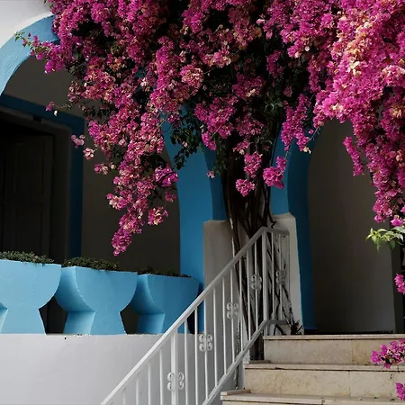 Palma Hotel *