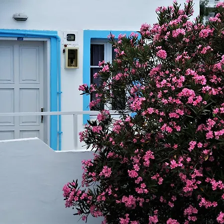 Palma Hotel