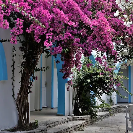 Palma Otel Gümbet
